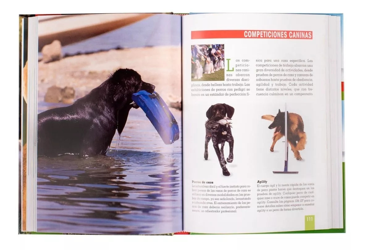 Adiestramiento Canino, órdenes, juegos, hábitos