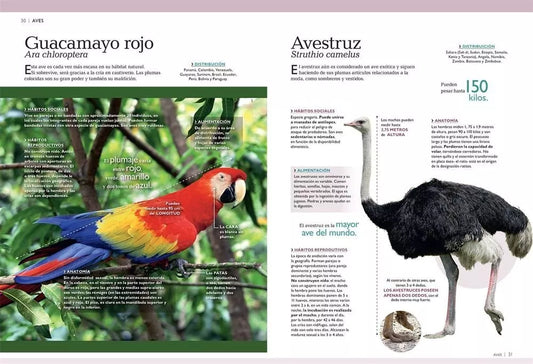 Mundo Animal 3D