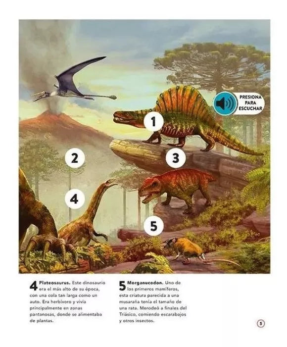 Libro Dinosaurios y vida Prehistórica con Sonidos