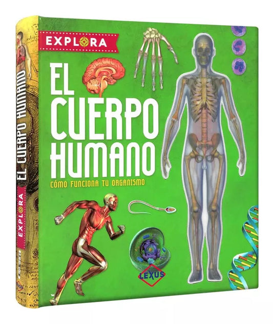 Explora el Cuerpo Humano