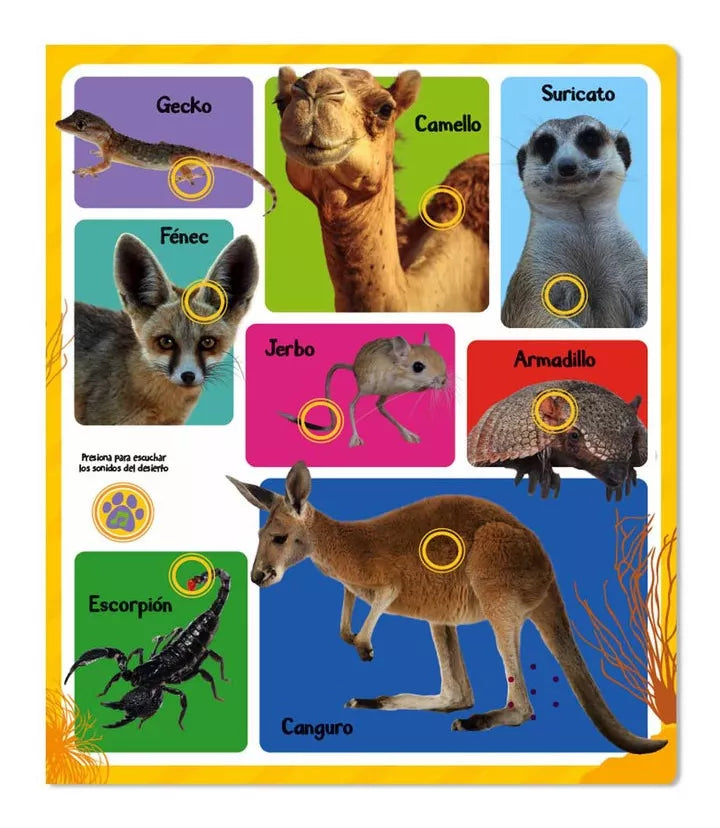 Libro Sonidos de Animales
