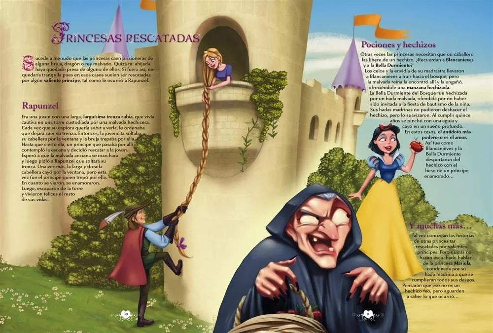 Libro El Mundo De Las Princesas Maxiformato