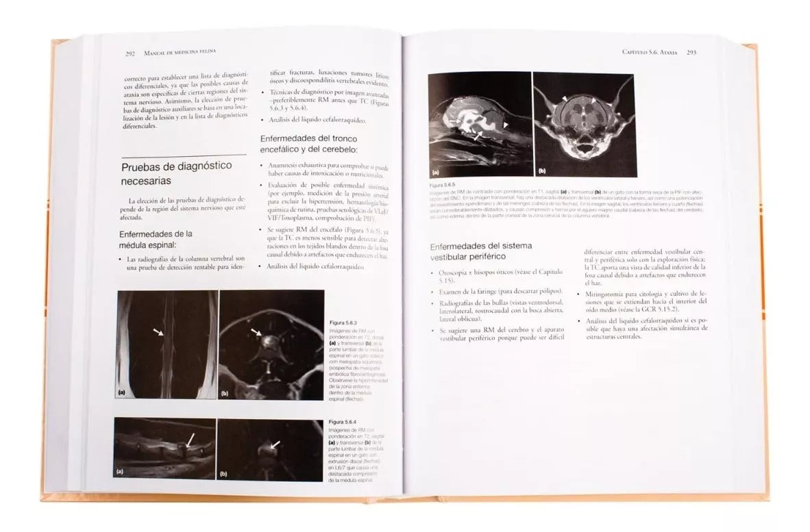 Manual de Medicina Felina