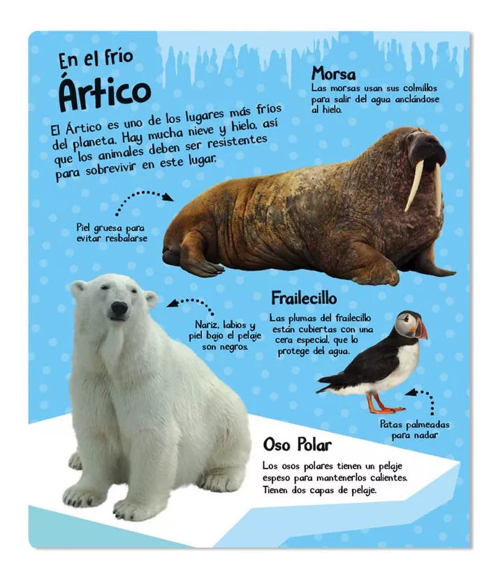 Libro Sonidos de Animales
