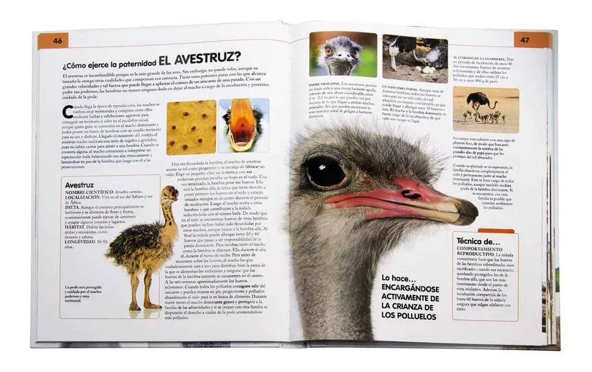 Libro Comportamiento del Reino Animal