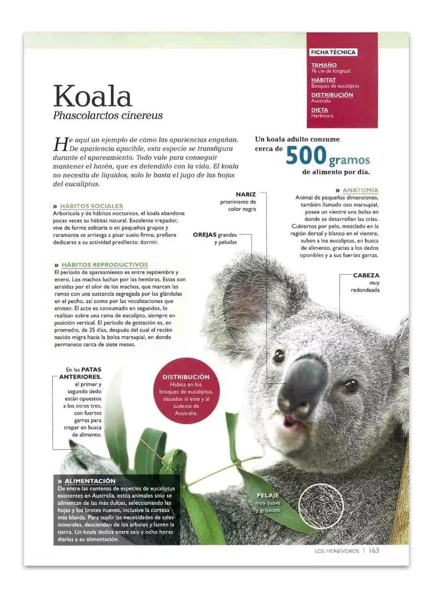Libro Mundo Animal 3D Para Niños