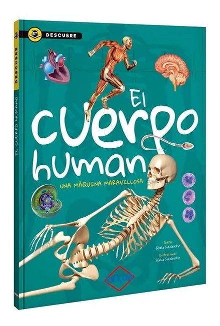 Libro infantil Descubre El Cuerpo Humano