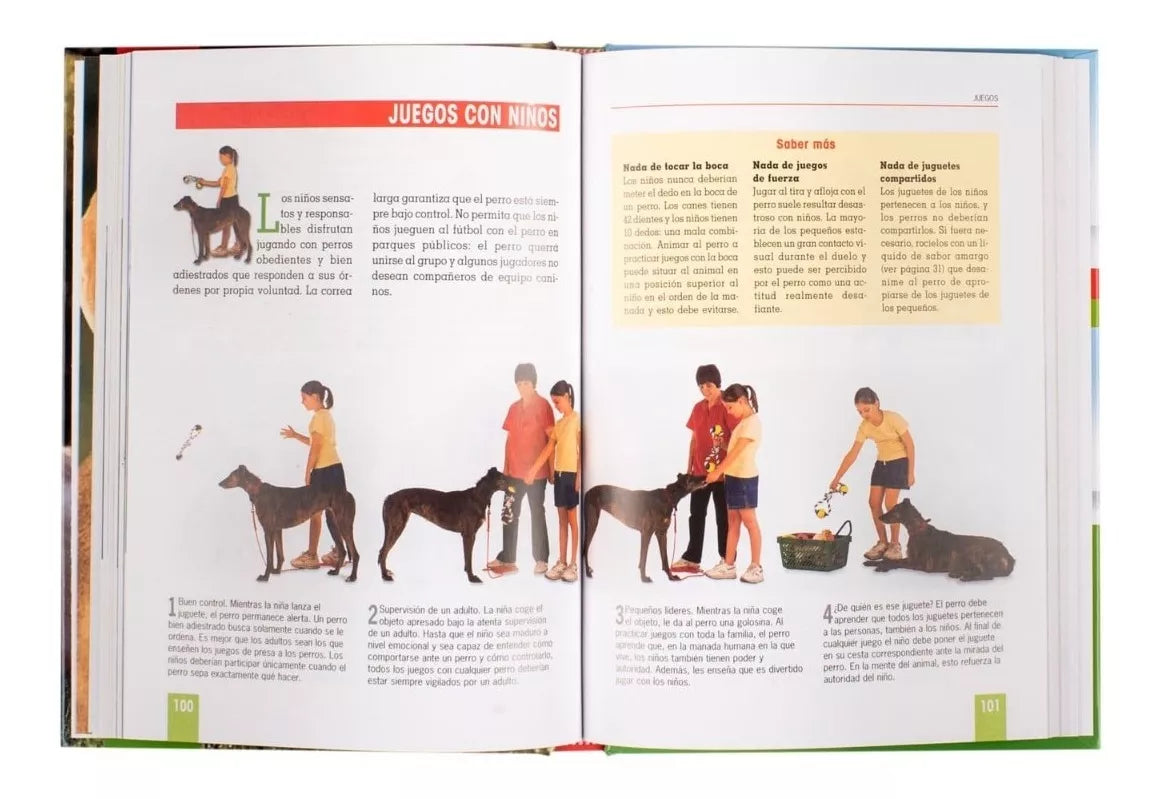 Adiestramiento Canino, órdenes, juegos, hábitos