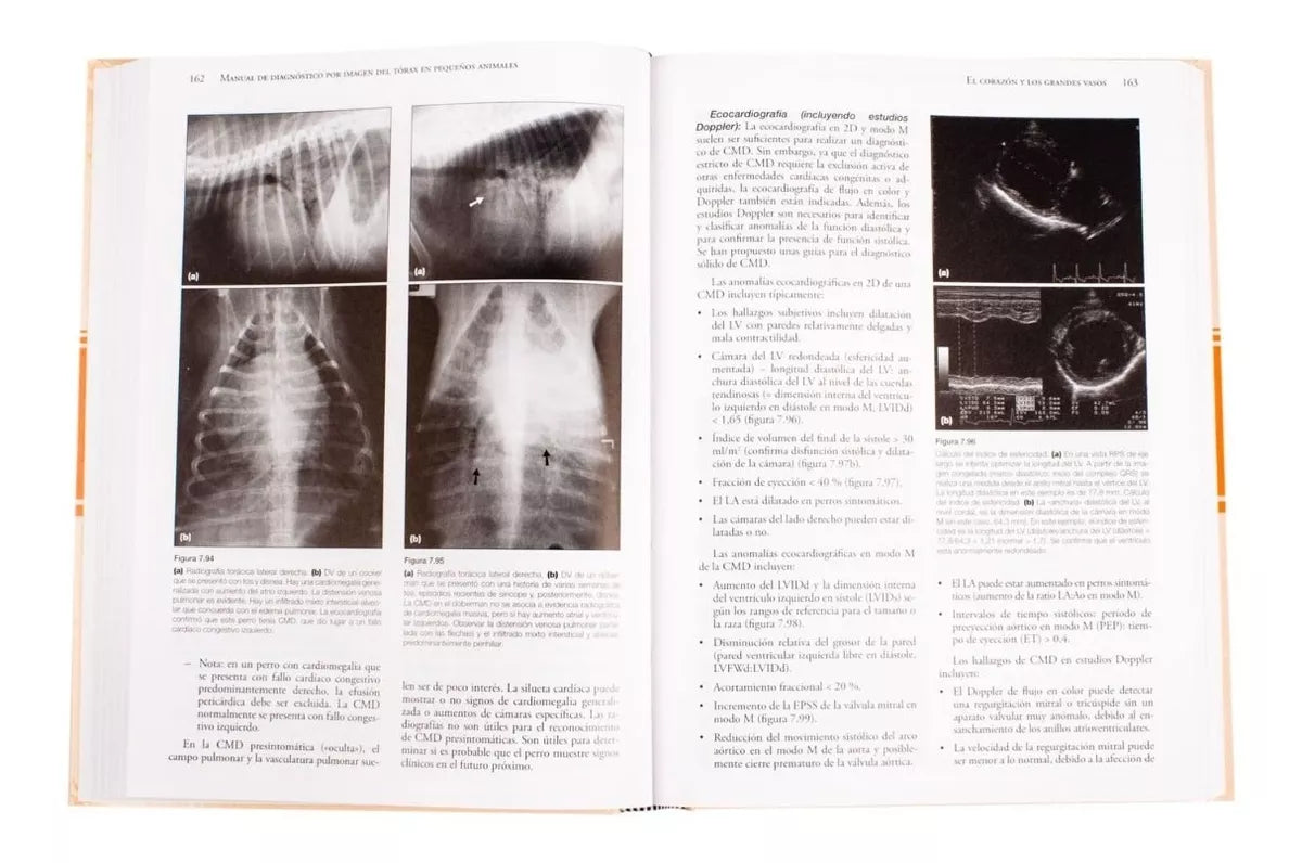 Manual De Diagnóstico Por Imagen Del Tórax En Pequeños Animales