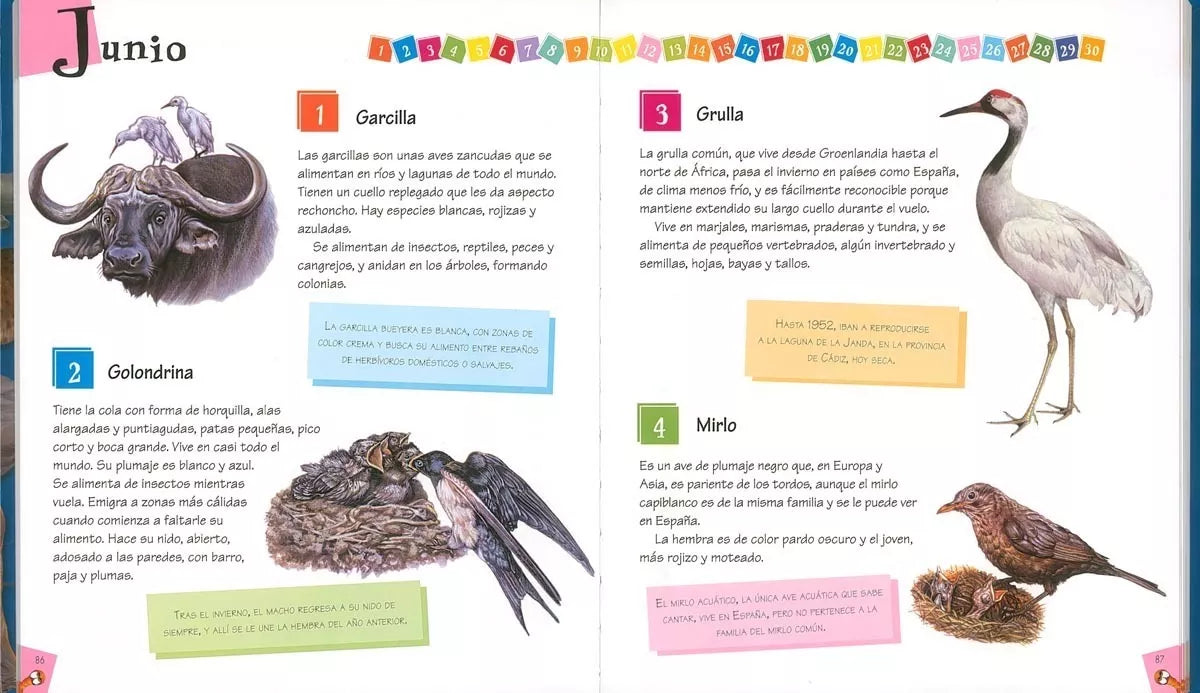 Libro 365 Curiosidades de Animales
