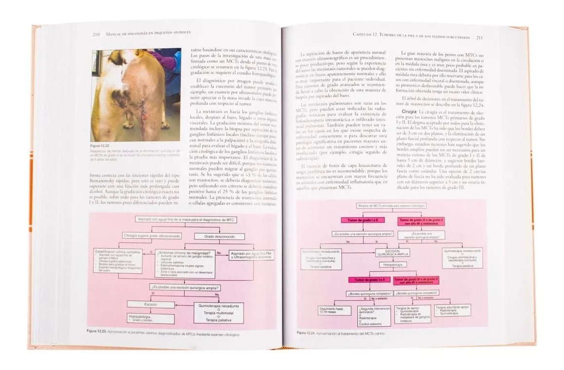 Manual De Oncología En Pequeños Animales
