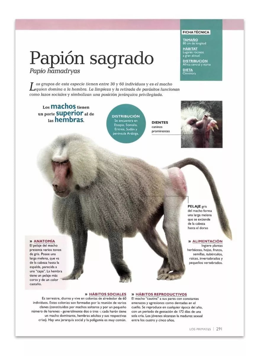 Libro Mundo Animal 3D Para Niños