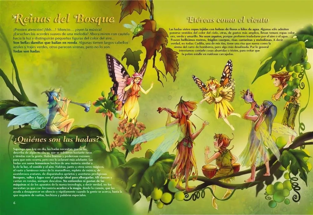 LIBRO EL MUNDO DE LAS HADAS