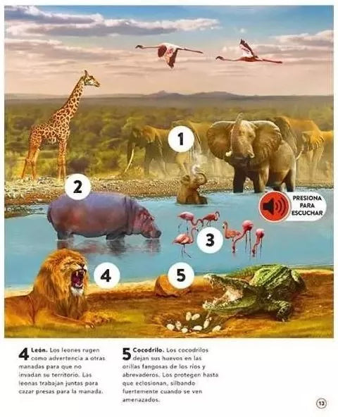 Libro El Reino Animal con Sonidos