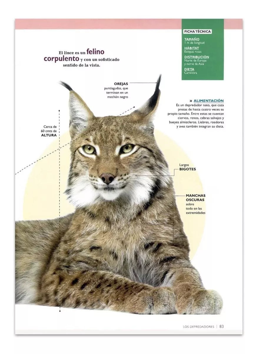 Libro Mundo Animal 3D Para Niños