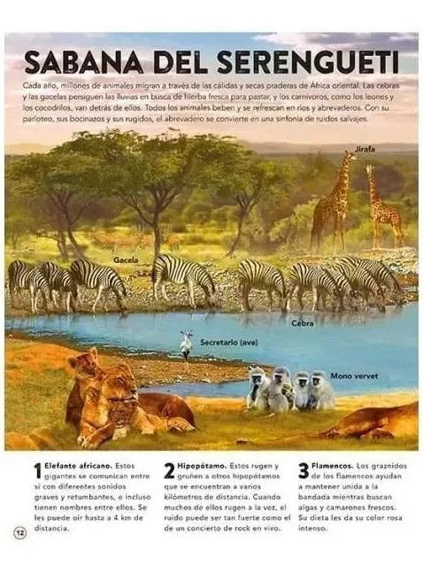 Libro El Reino Animal con Sonidos