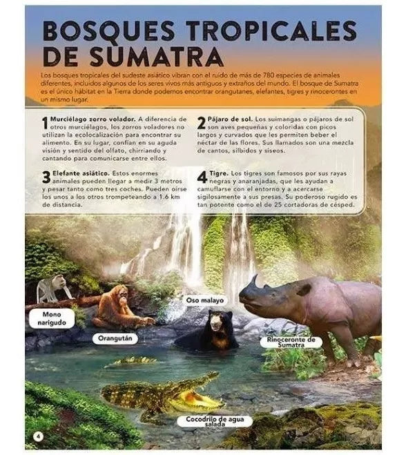 Libro El Reino Animal con Sonidos