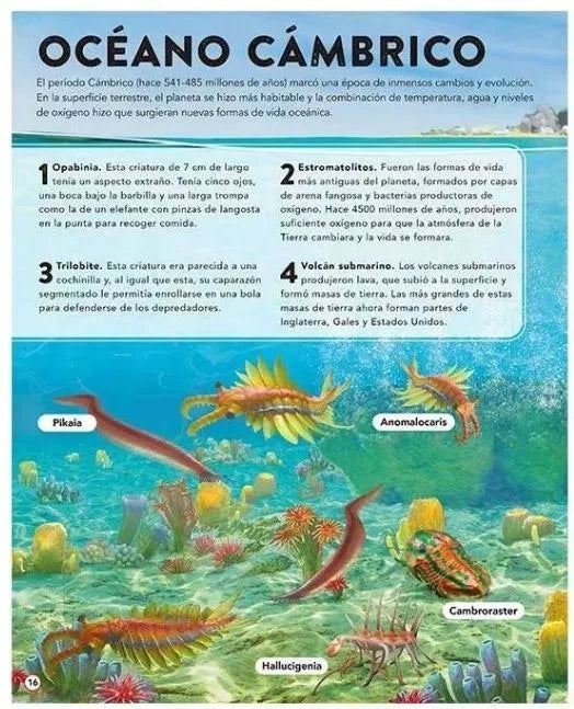 Libro Dinosaurios y vida Prehistórica con Sonidos