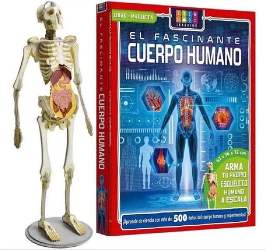 Libro El Fascinante Cuerpo Humano libro+maqueta esqueleto
