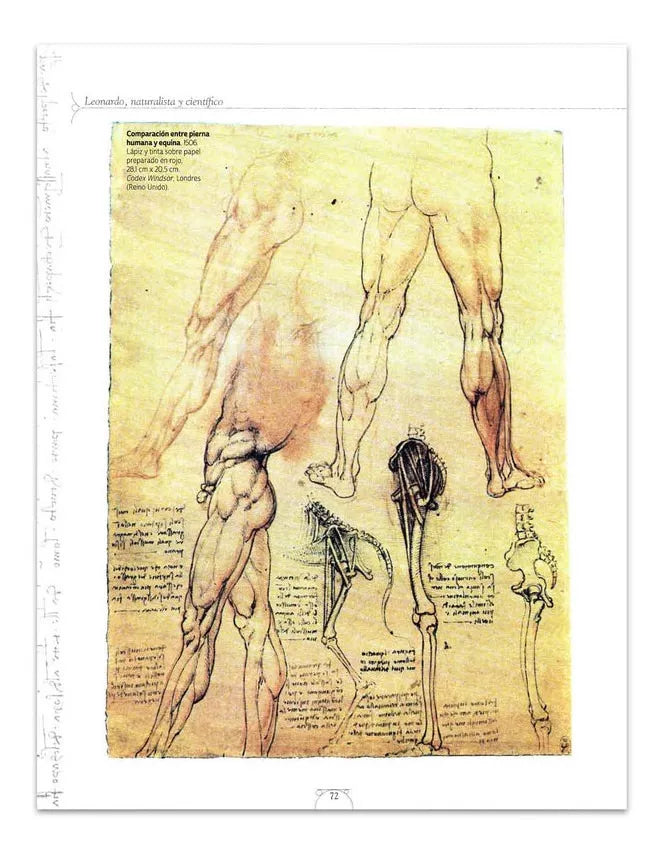 Libro Leonardo Un Genio Universal