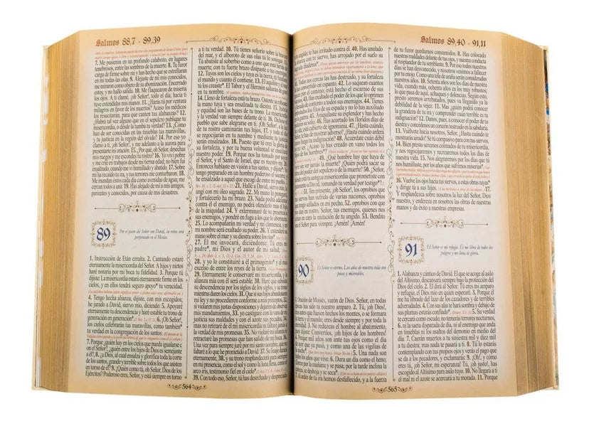 Sagrada biblia dorada