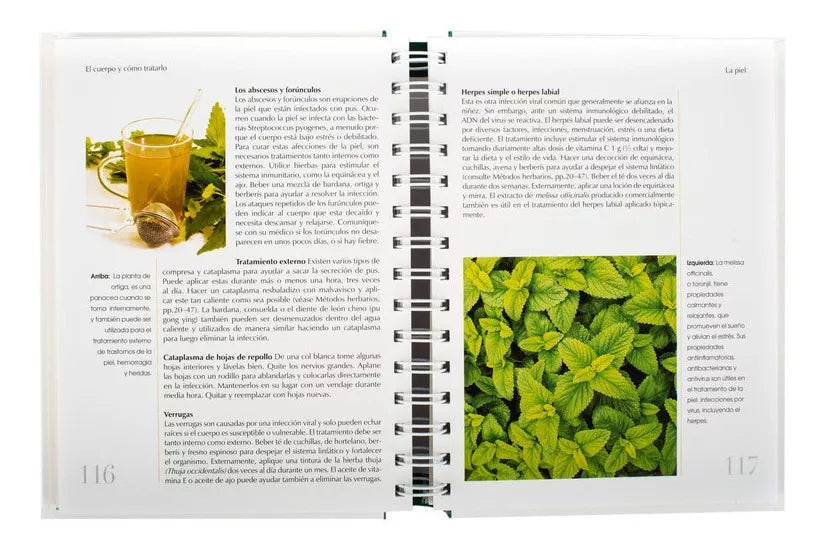 Libro Plantas Medicinales Guía Práctica