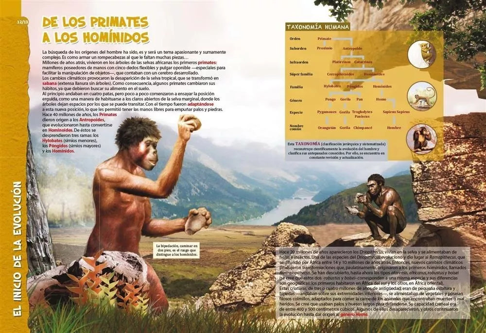 Libro Mundo Prehistórico Maxiformato