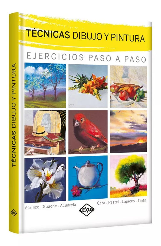 Libro Técnicas Dibujo y Pintura